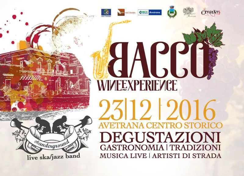 BACCO wine experience
