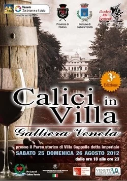 Calici in Villa 2013 a Galliera Veneta