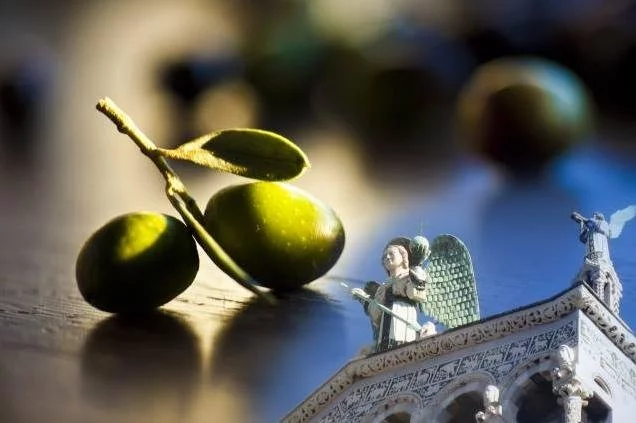 Extra Lucca, mostra mercato dedicata agli oli d’oliva extravergini nuovi d'Italia