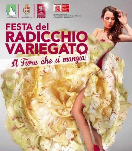 Festa del Radicchio Variegato 2017 - Castelfranco Veneto