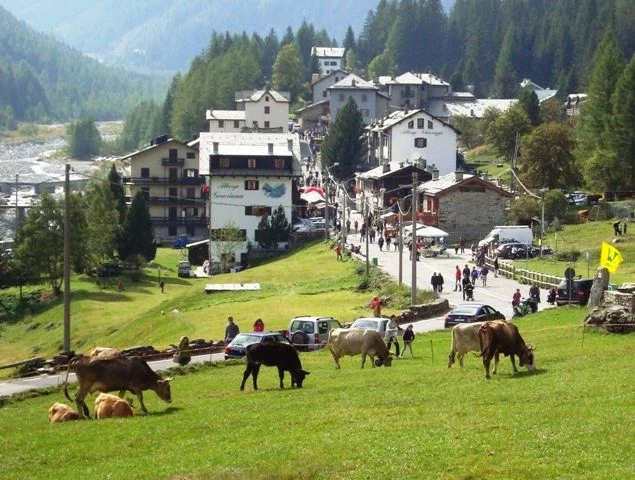 Festa dell'Alpeggio 2017