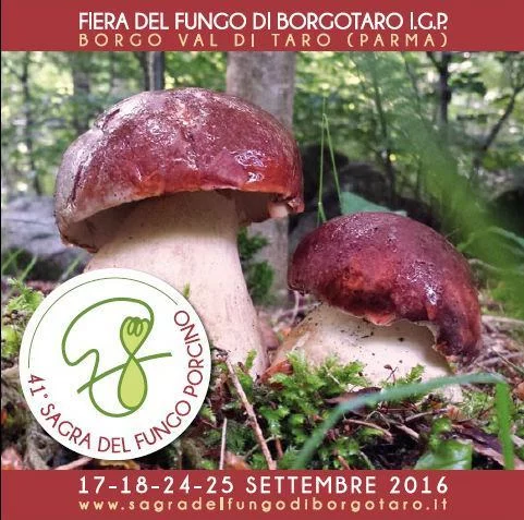 Fiera del fungo di Borgotaro IGP 2016