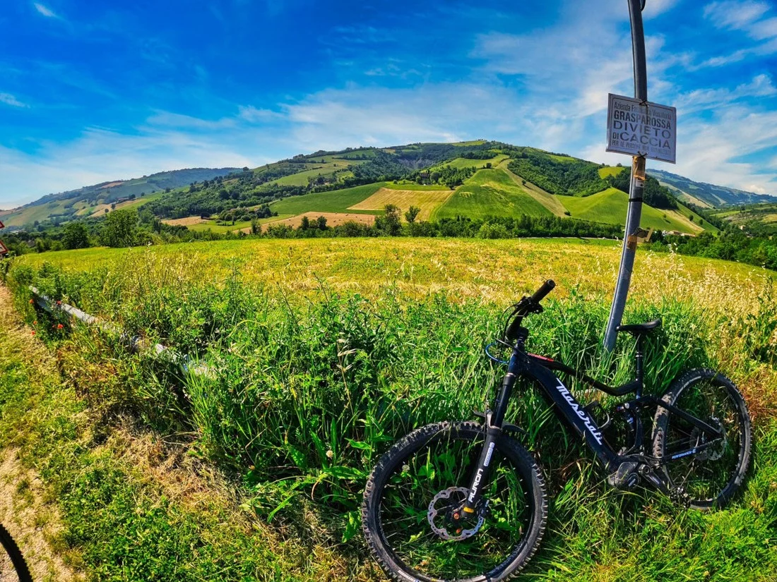 Tour in e-bike tra borghi, colline e Lambrusco Grasparossa