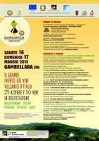 Garganica, alla scoperta dei vini vulcanici del Gambellara DOC