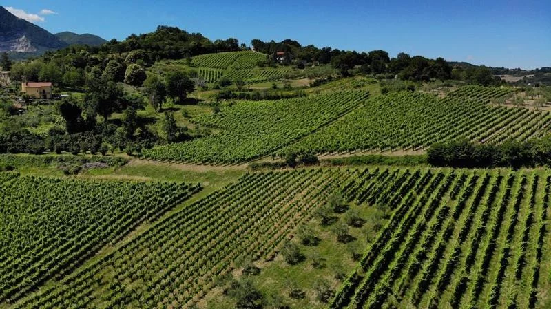 Wine Trekking a Lapio, Borgo del Fiano