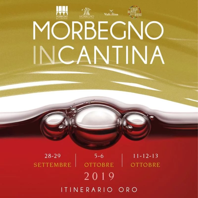 Morbegno in Cantina 2019