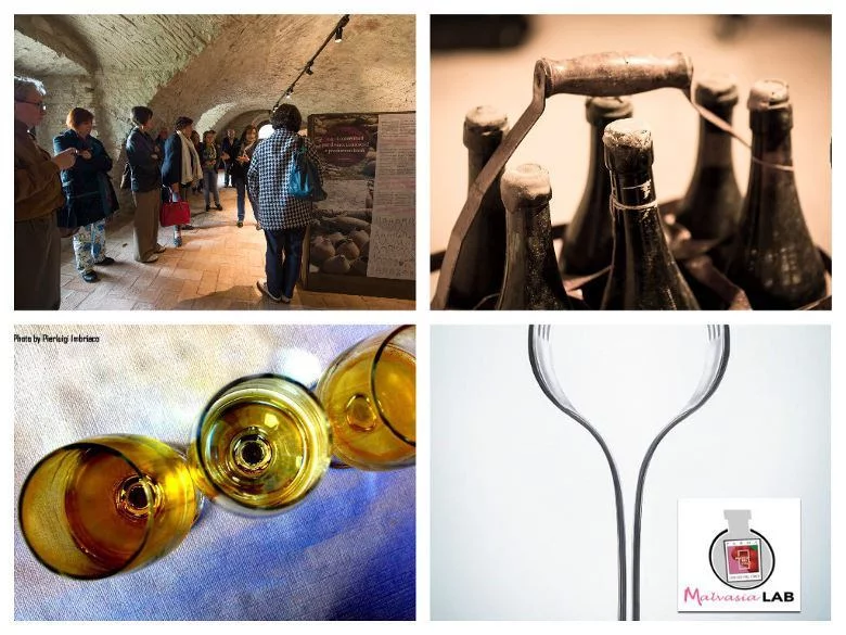 Malvasia LAB: la cultura del vino a piccoli sorsi