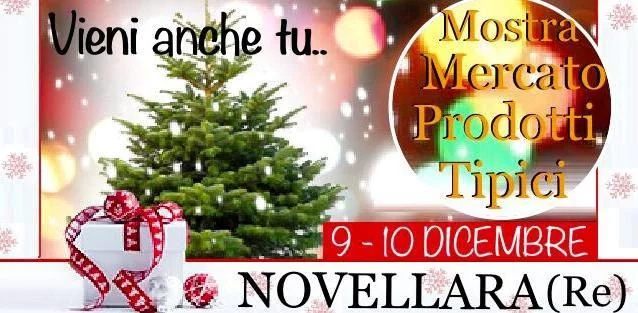 Natale 2017 a Novellara