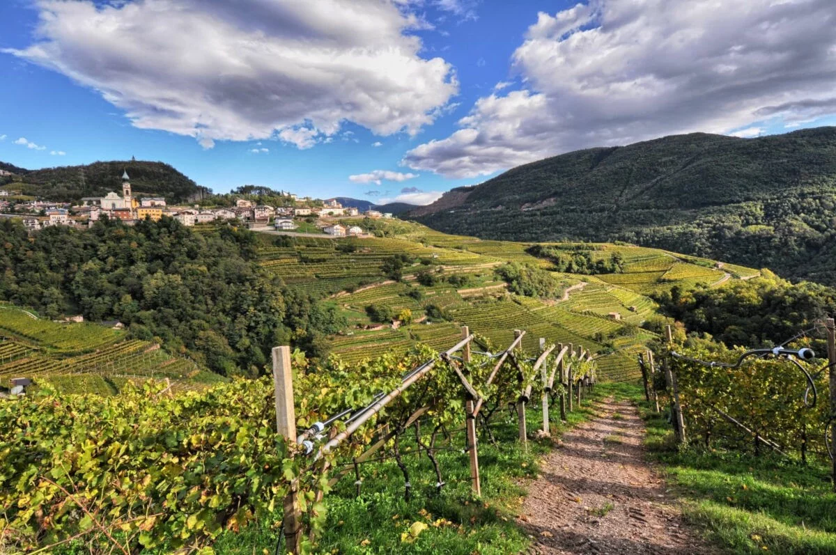 DOLO-VINI-MITI: il festival dei vini verticali