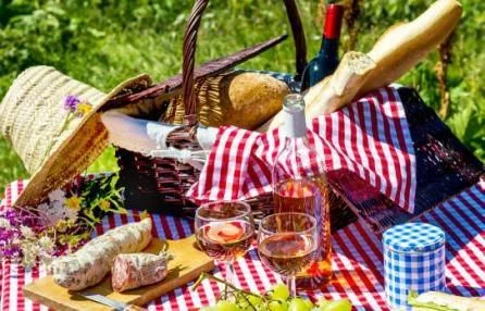 Pic-Nic in Cantina nelle Langhe del Gusto