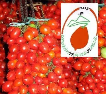 Degustazione del Pomodorino del Piennolo del Vesuvio DOP a Nocera Inferiore