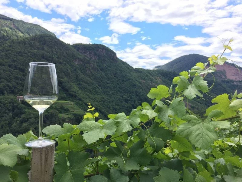 Rassegna Müller Thurgau: Vino di Montagna 2018