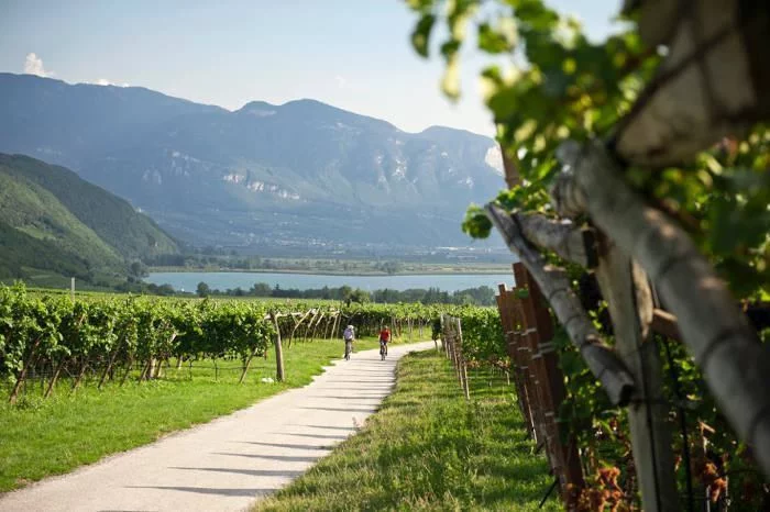 La strada del vino dell’Alto Adige: tra vigneti e castelli