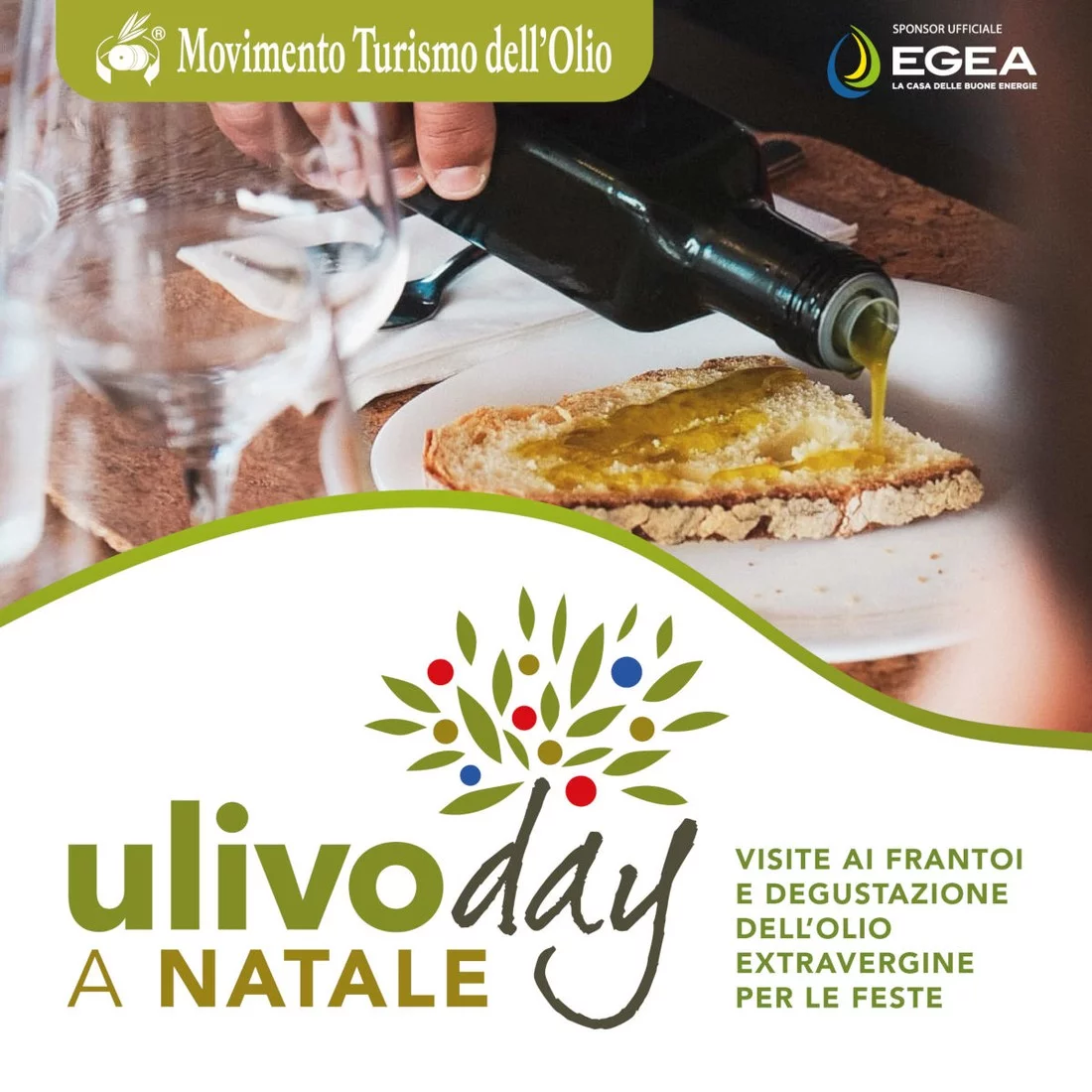 Ulivo Day a Natale