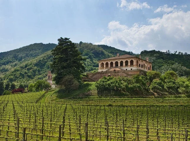 40 anni per i Colli Euganei, a Luvigliano di Torreglia festa per il Consorzio Vini Colli Euganei