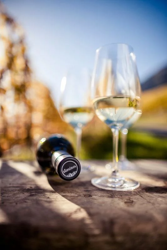 Alto Adige, Storie di Piccoli Produttori e Grandi Vini