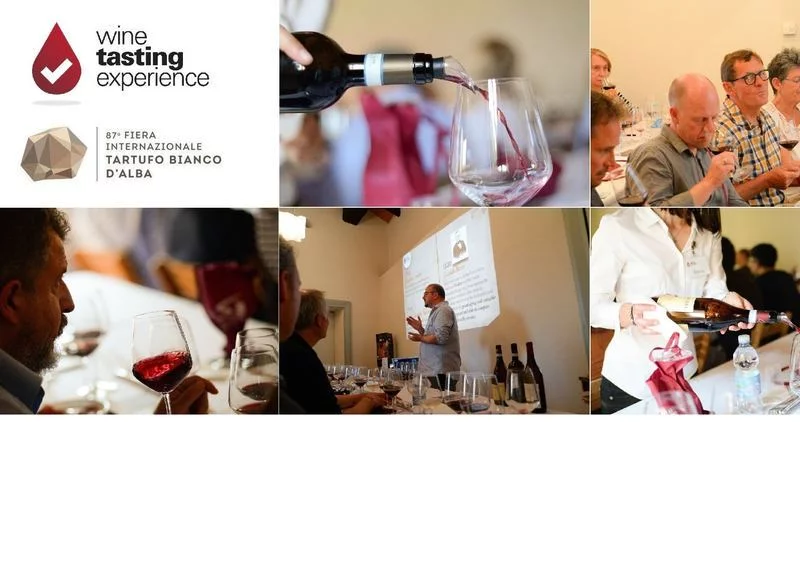 Fiera Internazionale del Tartufo Bianco 2017: Wine Tasting Experience