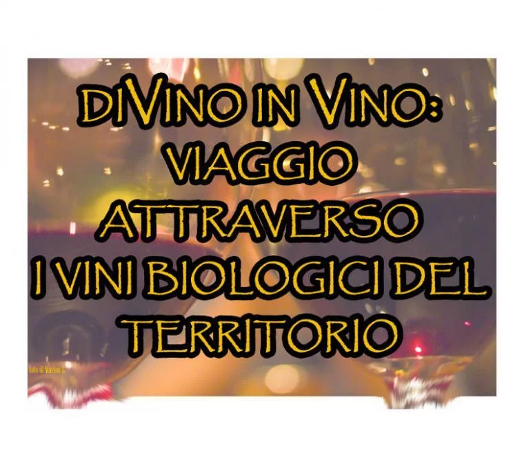 DiVino in Vino 2016
