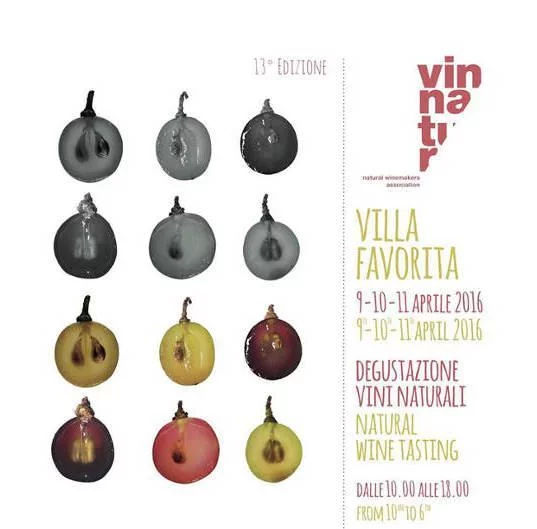 Villa Favorita 2016 - VinNatur festeggia i vini naturali