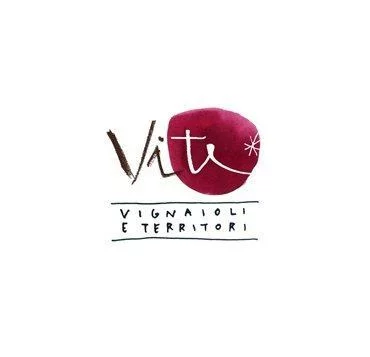 ViViT 2014 Verona - 3^ edizione