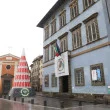 Accensione dell'albero di Natale allestito dalla Fondazione Pisa