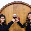 Wine tour da Aminea Winery