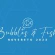 Bubbles & Fish