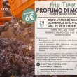 Bio Tour Profumo Di Mosto - Cantina Pizzolato