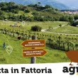 Pasquetta in Fattoria  - Agritour