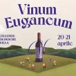 Vinum Euganeum: eccellenze enologiche in Villa