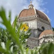 A Pasqua destinazione Firenze: un weekend tra arte, cultura e sapori